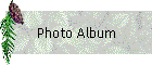 Photo Album